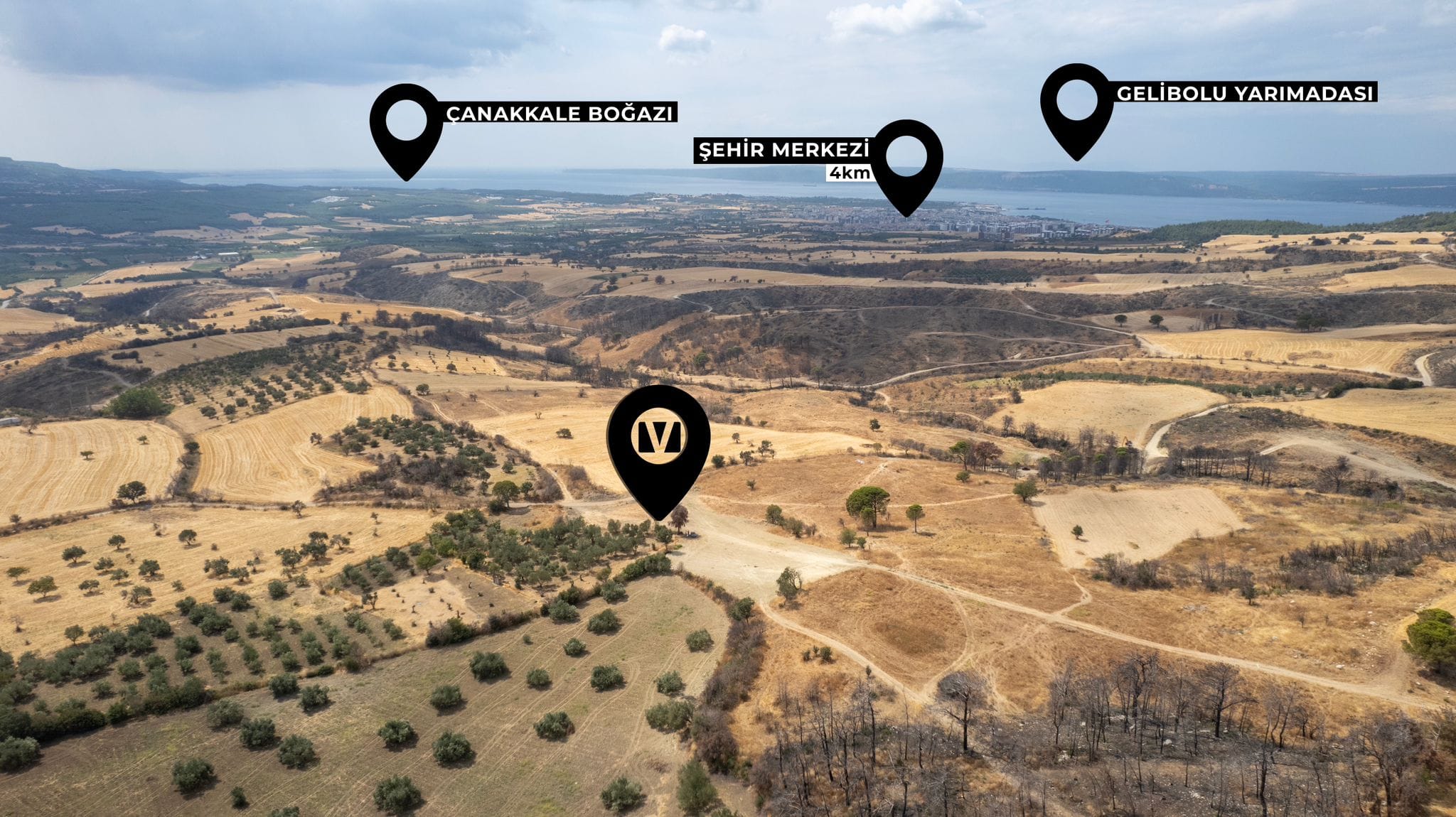Vio Panorama